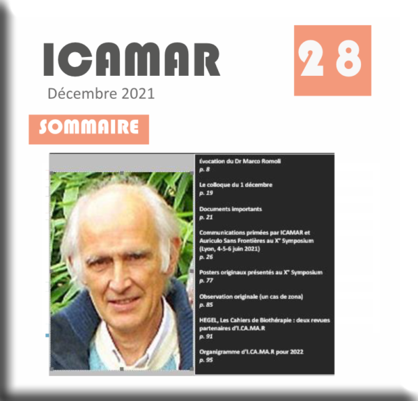 Revue Icamar 28